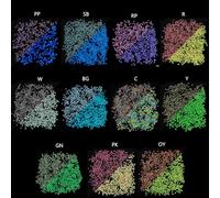 Maxtonser 660 cuentas reactivas que cambian de color para cuentas acrílicas brillantes para Bracel