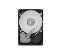 Maxtor Diamondmax23 250gb Sata