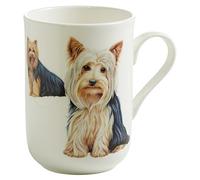 Maxwell PB0706 taza y tazón - Taza/vaso Multi
