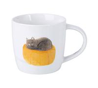 Maxwell & Williams DX1219 Feline Friends - Taza de porcelana (400 ml, en caja de regalo), multicolor