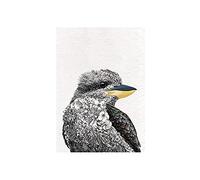 Maxwell & Williams Marini Ferlazzo Birds Paño de Cocina con Diseño de Cucaburra Australiana de 100% Algodón, 50 x 70 cm - Blanco