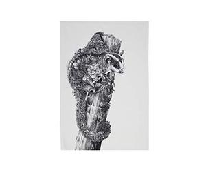 Maxwell & Williams Marini Ferlazzo Tea Towel con diseño Sugar Glider, 1% algodón indio, blanco, 5 x 7 cm