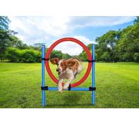 maxxpro Agility Ring - Set Agility para Perros, 85 x 3 cm, plástico, Color Azul y Rojo