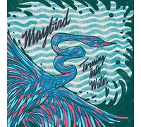 Maybird - Turning Into Water [Vinilo]