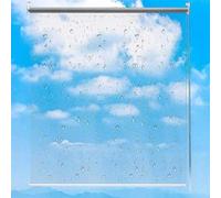 MAYFABD Estor Enrollable Persiana Cortina Enrollable Transparente Ventana Cortinas Enrollables Transparentes PVC Plástico Cortina Impermeable A Prueba Viento Exteriores Protección,200 * 200cm