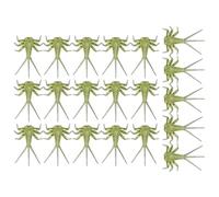 Mayflyy Bait - Surtido de mosca atada a mano | Moscas para la mosca de los bajos | Kit de aviador | Surtido de para salmón | Componentes corporales ninfato