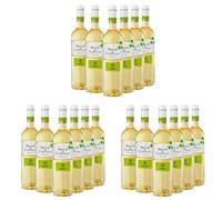 Mayor de Castilla Verdejo - Vino Blanco D.O Rueda - Caja de 6 Botellas x 750 ml (Paquete de 3)