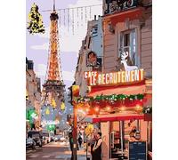 Maysurban Pintar con Numeros para Adultos Niños,DIY Pintura por Números con Pinceles y Pinturas Decoraciones para el Hogar sin Marco 40x50cm,París Street View