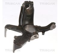 Maza de eje, suspensión de rueda Triscan 8500 29702 para OE 1J0 407 256 H