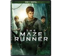 Maze Runner [Edizione: Stati Uniti] [Italia] [DVD]