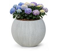 Mazovia Macetero de jardín, para terraza, balcón e Interior, 37x37x31 cm Rotondo M, Resistente a los Rayos UV, Impermeable, Gris, Efecto hormigón, 1 Pieza