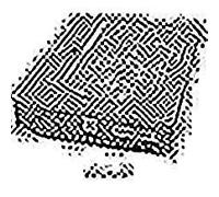 mba3147rc Fujitsu 146-gb 15 K 3,5 SAS (10 Unidades)