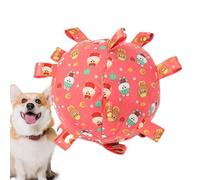 Mbiyhgta - Juguete de perro de fútbol con correa, juguete de perro indestructible - Bola de juguete para perros con correas - Juguete de bola de fútbol, juguete con correa, bolas de agua duraderas