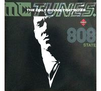 MC Tunes - The Only Rhyme That Bites 7"