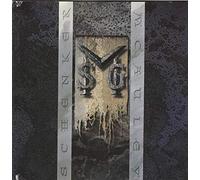 McAuley Schenker Group - M S G