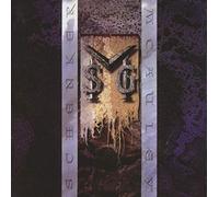 McAuley Schenker Group – M.S.G.