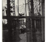 Mccartney - Chaos and Creation in The Back