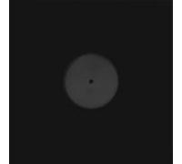 Mccaslin, Donny - KID [Vinilo]