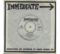 MCCOYS - HANG ON SLOOPY LP (VINYL) UK IMMEDIATE 1965