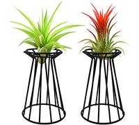 MCDSAJ 2 soportes para plantas de aire de 6 pulgadas, soporte de hierro negro para plantas en casa, oficina, idea de regalo, mesa interior, grandes contenedores Xerographica para plantas de aire