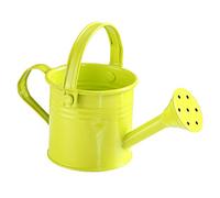 MCDSAJ Mini regadera de metal, hierro, verde, estilo granja, decoración de mesa
