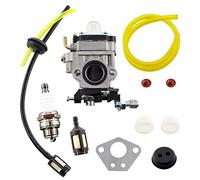 MCHNIC Carburador con bujía, manguera de gasolina, filtro de gasolina, juego de filtros para Florabest FBS 43 A1, FBK 4 B2 4 en 1, Parkside PBK 4 A1, desbrozadora PBS 2 A1