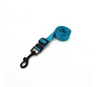 MCKhome - Correa de nailon suave para mascotas, cómoda correa ajustable para mascotas con hebilla de aleación fuerte, correa básica de 1,5 m x 1,5 cm (azul)