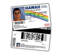 McLovin - Licencia de Conducir de identificación supermala/artículos de Broma/Licencia de identificación Falsa/Doble Cara/Gran complemento para Disfraces/Calidad Profesional: Accesorios Divertidos