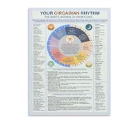 MCQWOMFQAK Health Wellness Decor Canvas Print Circadian Rhythm Guide Sleep Cycle Body Clock Chart Poster for Bedroom Living Room(Framed,12x18inch(30x45cm))