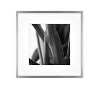 MCS Gallery - Marco de pared (30,5 x 30,5 cm, acabado mate a 20,3 x 20,3 cm), color plateado