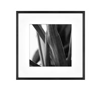MCS Gallery - Marco de pared (30,5 x 30,5 cm, mate a 20,3 x 20,3 cm), color negro