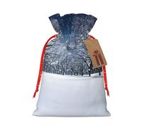 MDATT Bolsas de regalo de Navidad de nieve de invierno que cae en el parque, pequeñas bolsas de regalo de Navidad, recuerdos de boda, regalos de Halloween, etc. 8 x 12 pulgadas