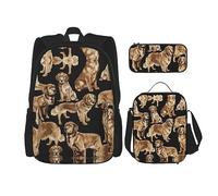 MDATT Mochila escolar de matemáticas para niñas, mochilas escolares con lonchera y estuche 3 en 1, juego de bolsas escolares, Golden Retrievers, Talla única