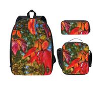MDATT Mochilas de hojas y frutas rojas otoñales con estuche para el almuerzo, bolsa ligera para libros para excursiones de camping, Black, Talla única, Organizador de bolsas