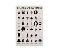 MDBJTCYZN Animal Tracks Educational Poster - Wildlife Footprints Chart for Nature Learning, Classroom and Home Decor(Framed,16x24inch(40x60cm))
