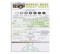 MDBJTCYZN Aperture Shutter Speed ISO Guide Poster Manual Mode Photography Cheat Sheet Canvas Print(Framed,12x18inch(30x45cm))