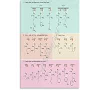 MDBJTCYZN Biochemistry Poster Genetic Code and Amino Acids Chart Educational Wall-Art for Student Study Room Decor Science Aesthetic(Framed,16x24inch(40x60cm))