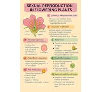 MDBJTCYZN Biology Educational Poster Plant Reproduction in Flowering Plants Chart for Students Classroom Hospital Office Decor(Framed,16x24inch(40x60cm))