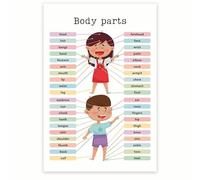 MDBJTCYZN Biology Poster for Classroom Human Body Anatomy Educational Chart for Learning Science(Framed,12x18inch(30x45cm))