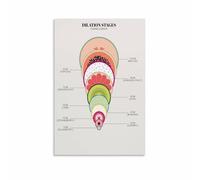MDBJTCYZN Cervical Dilation Stages Labor Progression Educational Art Print for Midwives Student Nurses Childbirth Class Decor Gift(Framed,12x18inch(30x45cm))