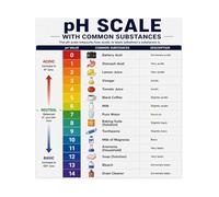 MDBJTCYZN Chemistry Educational Poster pH Scale Reference Chart for Acids and Bases Science Teacher Supplies Classroom Homeschool Learning Wall-Art(Unframed,12X18inch(30X45cm))