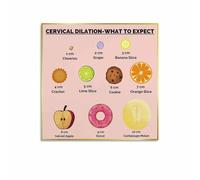 MDBJTCYZN Childbirth Education Gift Labor Stages of Cervical Dilation Canvas Painting for Expectant Mothers Office Decor(Framed,12x18inch(30x45cm))