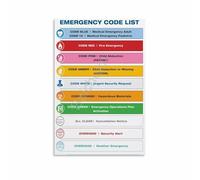 MDBJTCYZN Code Chart Color Coded Emergency List Wall-Art Print for Workshop Office Utility Room(Framed,12x18inch(30x45cm))