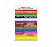MDBJTCYZN Color Code Quick Reference Guide Emergency Codes Wall-Art for Office Workshop Industrial Decor(Unframed,08x12inch(20x30cm))