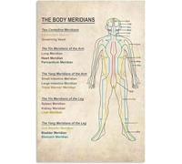 MDBJTCYZN Complete Body Meridians Chart Metal Sign Acupuncture Knowledge Infographic for Clinic Wall Decor 8 X 12 in