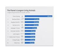 MDBJTCYZN Educational Animal Lifespan Poster Comparative Chart of Wildlife Biology Science Diagram Wall-Art for Home School Classroom Library Study Room Decor(Framed,12x18inch(30x45cm))