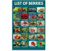 MDBJTCYZN Educational Chart of Various Berries Healthy Fruit Types Guide with Names Poster for Kitchen Living Room Home Decor(Framed,16X24inch(40X60cm))