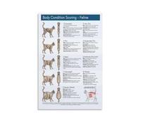 MDBJTCYZN Feline Health Wall-Art Body Condition Score BCS Chart for Cats Veterinary Reference Poster Clinic Decor Pet Nutrition Guide(Unframed,08x12inch(20x30cm))