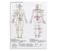 MDBJTCYZN Five Elements Theory Chinese Meridian Chart Acupuncture Poster Traditional Medicine TCM Educational Wall-Art(Framed,12x18inch(30x45cm))