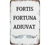 MDBJTCYZN Fortune Favors The Bold Metal Sign Vintage Inspirational Quote Tin Plaque Retro Wall-Art For Office Man Cave Garage Gym 8x12 Inch